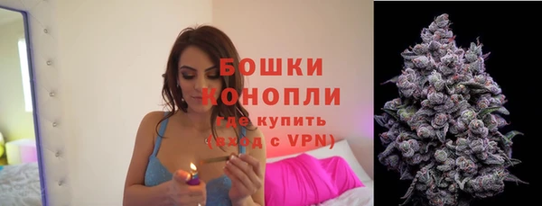 молекула духа Белокуриха