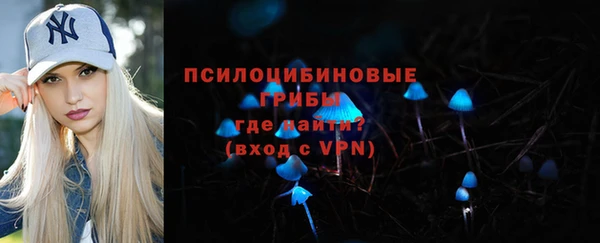 ПСИЛОЦИБИНОВЫЕ ГРИБЫ Балахна