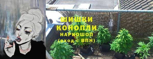 ПСИЛОЦИБИНОВЫЕ ГРИБЫ Балахна