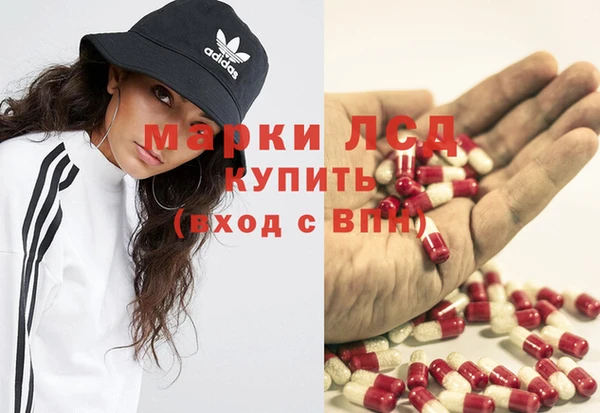 ПСИЛОЦИБИНОВЫЕ ГРИБЫ Балахна