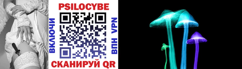 kraken рабочий сайт  Шумерля  Галлюциногенные грибы прущие грибы  сколько стоит 